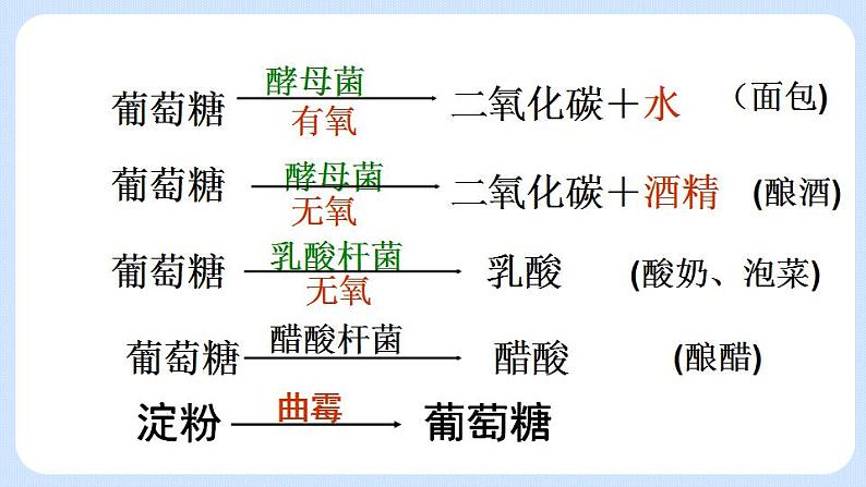 5.4.5 人类对细菌和真菌的利用 课件06