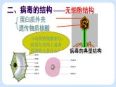 5.5  病毒 课件