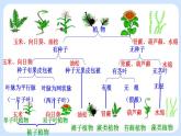 6.1.1  尝试对生物进行分类 课件