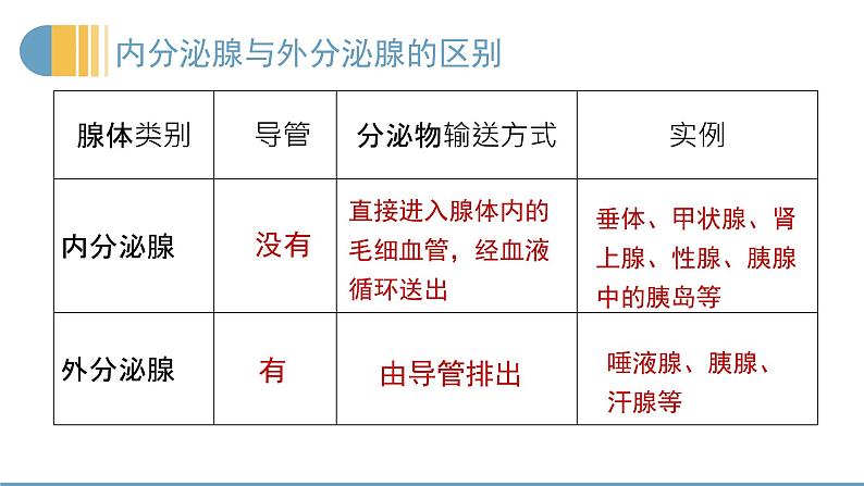 12.3激素调节课件03