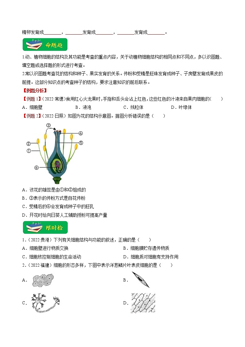 热点01 植物的细胞结构及开花和结果-2023年中考生物【热点·重点·难点】专练（全国通用）（原卷版）第2页