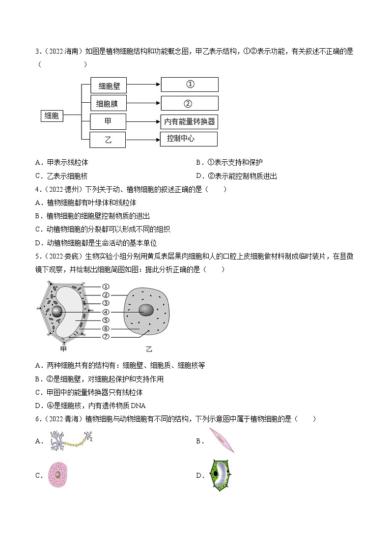 热点01 植物的细胞结构及开花和结果-2023年中考生物【热点·重点·难点】专练（全国通用）（原卷版）第3页