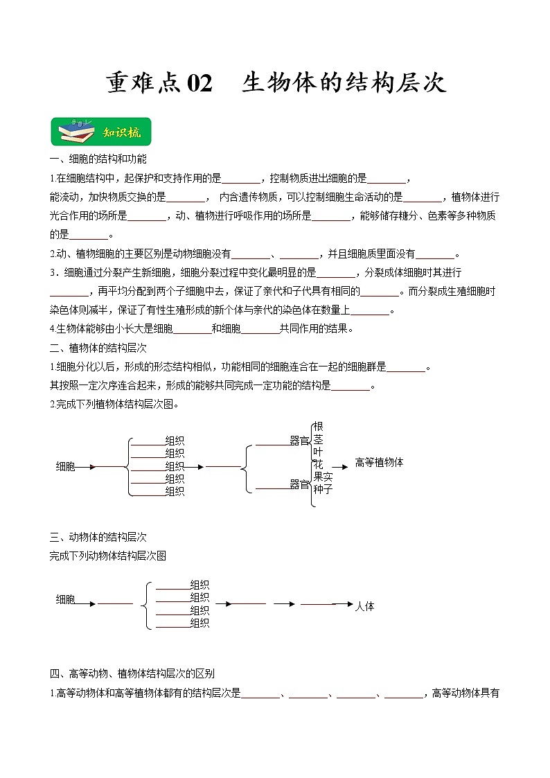 重难点02 生物体的结构层次-2023年中考生物【热点·重点·难点】专练（全国通用）  （原卷版）第1页