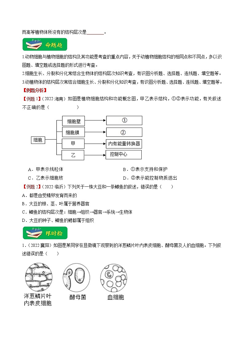 重难点02 生物体的结构层次-2023年中考生物【热点·重点·难点】专练（全国通用）  （原卷版）第2页