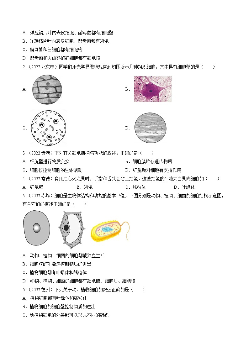 重难点02 生物体的结构层次-2023年中考生物【热点·重点·难点】专练（全国通用）  （原卷版）第3页