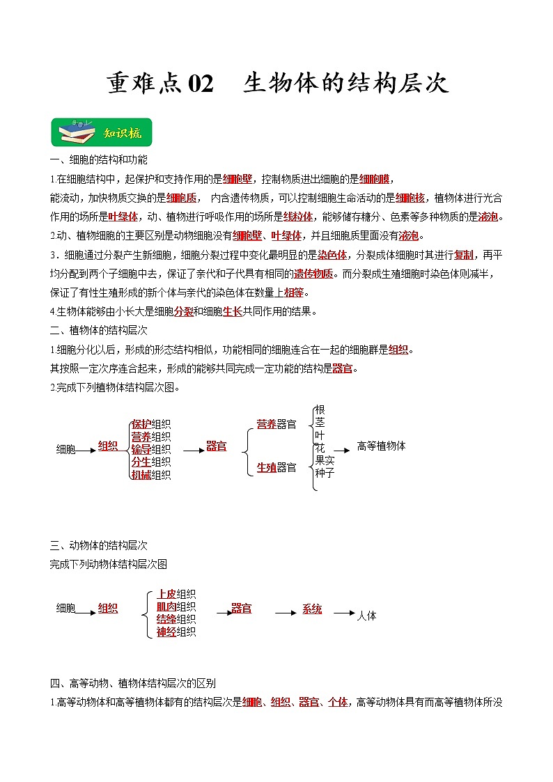 重难点02 生物体的结构层次-2023年中考生物【热点·重点·难点】专练（全国通用）  （解析版）第1页