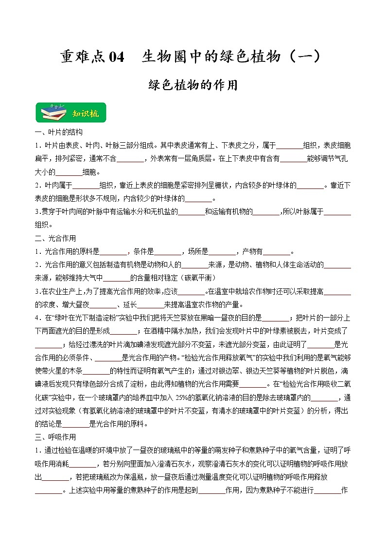 重难点04 生物圈中的绿色植物（一）（原卷版+解析版）-2023年中考生物【热点·重点·难点】专练（全国通用）01
