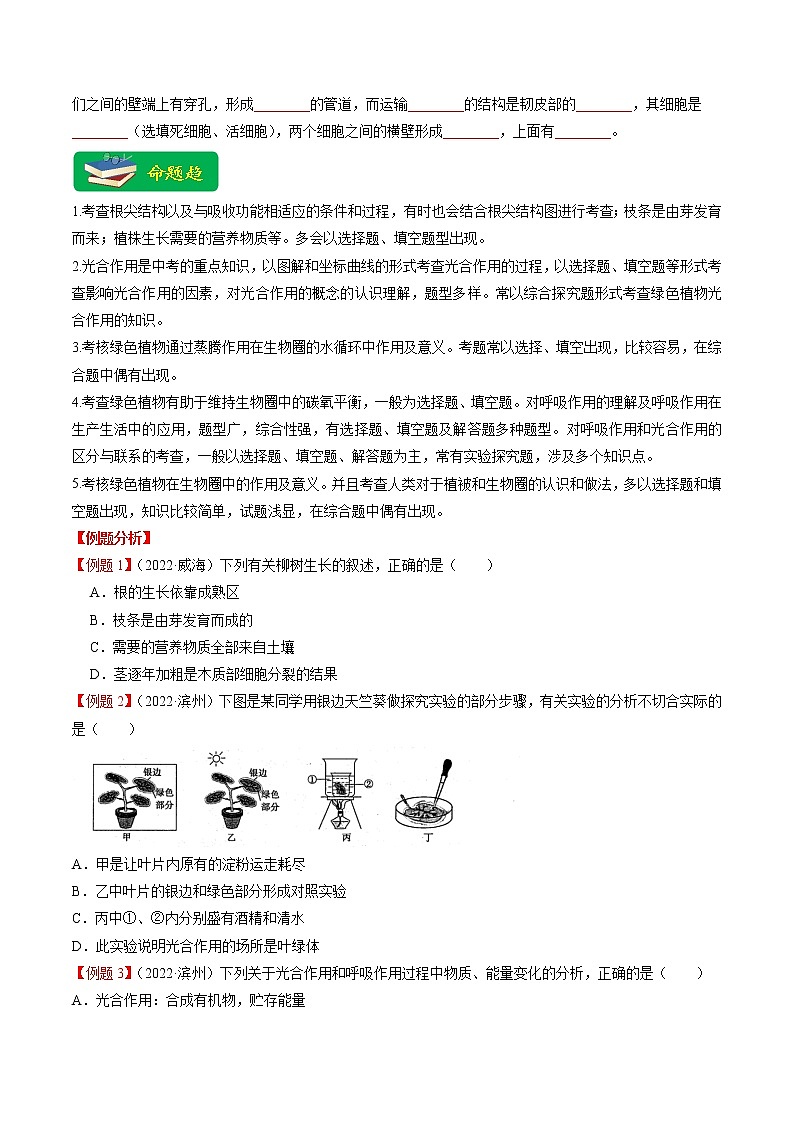 重难点04 生物圈中的绿色植物（一）（原卷版+解析版）-2023年中考生物【热点·重点·难点】专练（全国通用）03
