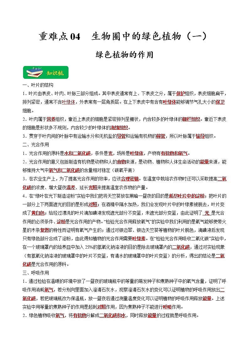重难点04 生物圈中的绿色植物（一）（原卷版+解析版）-2023年中考生物【热点·重点·难点】专练（全国通用）01