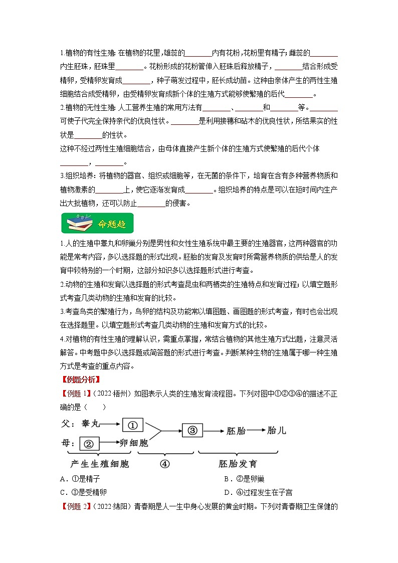重难点07 生物的生殖、发育与遗传变异（一） -2023年中考生物【热点·重点·难点】专练（全国通用）（原卷版）第2页