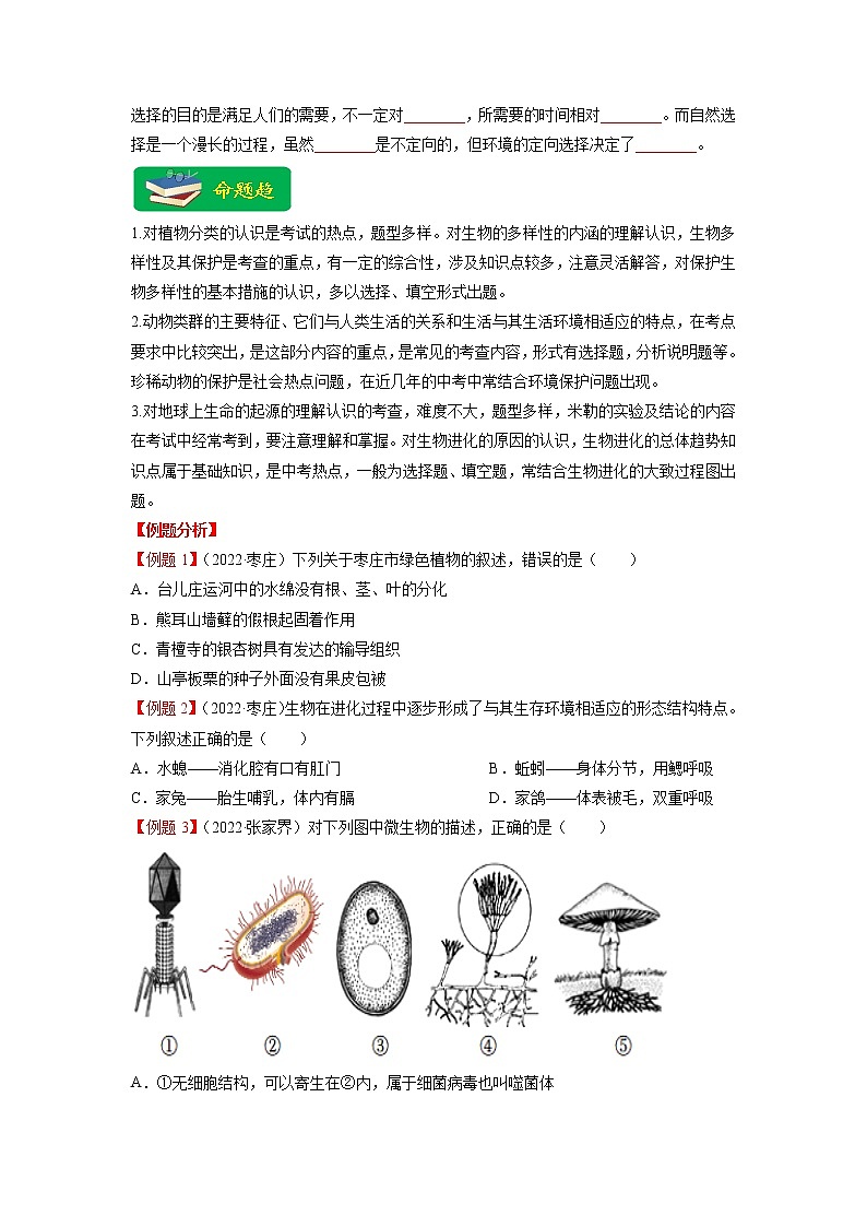 重难点08 生物的多样性 -2023年中考生物【热点·重点·难点】专练（全国通用）（原卷版）第3页