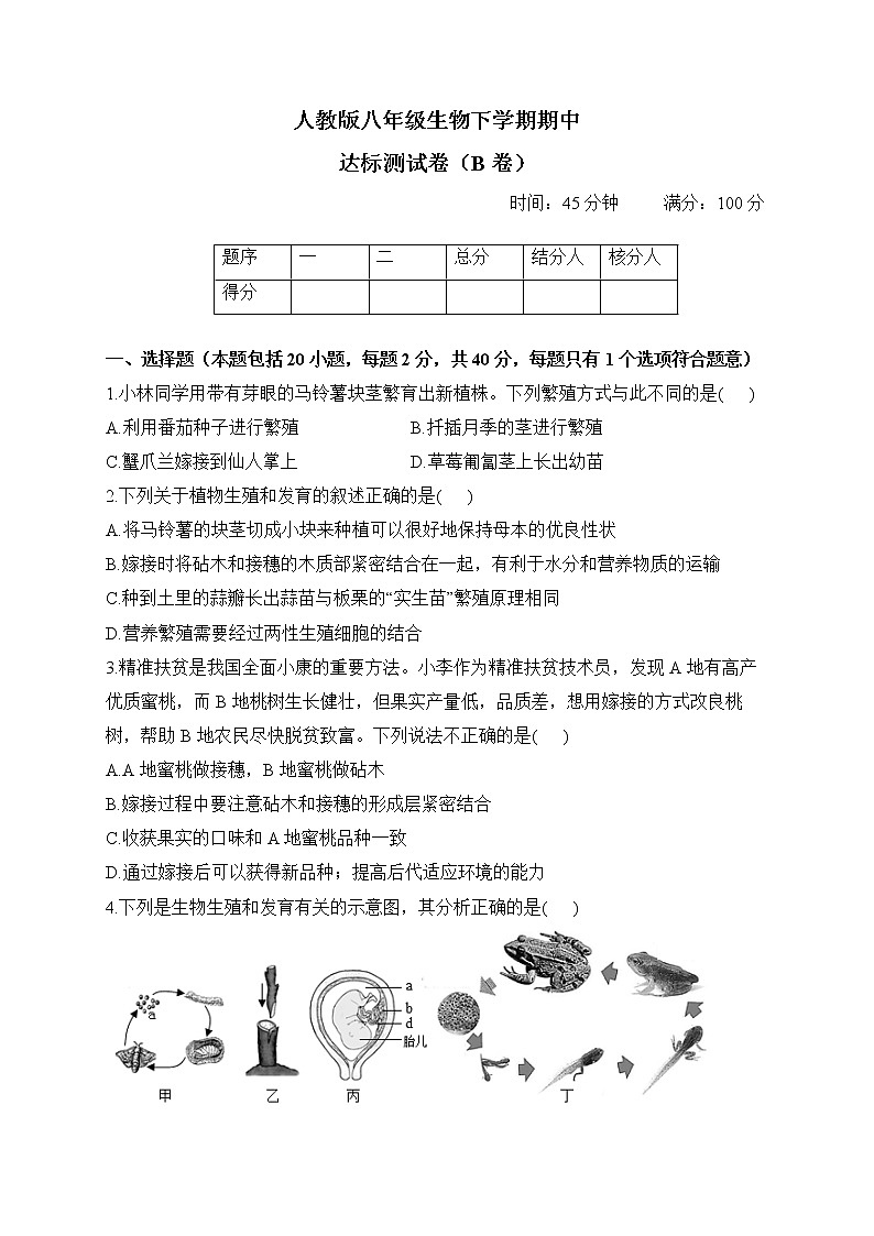 人教版八年级生物下学期期中达标测试卷（B卷）第1页