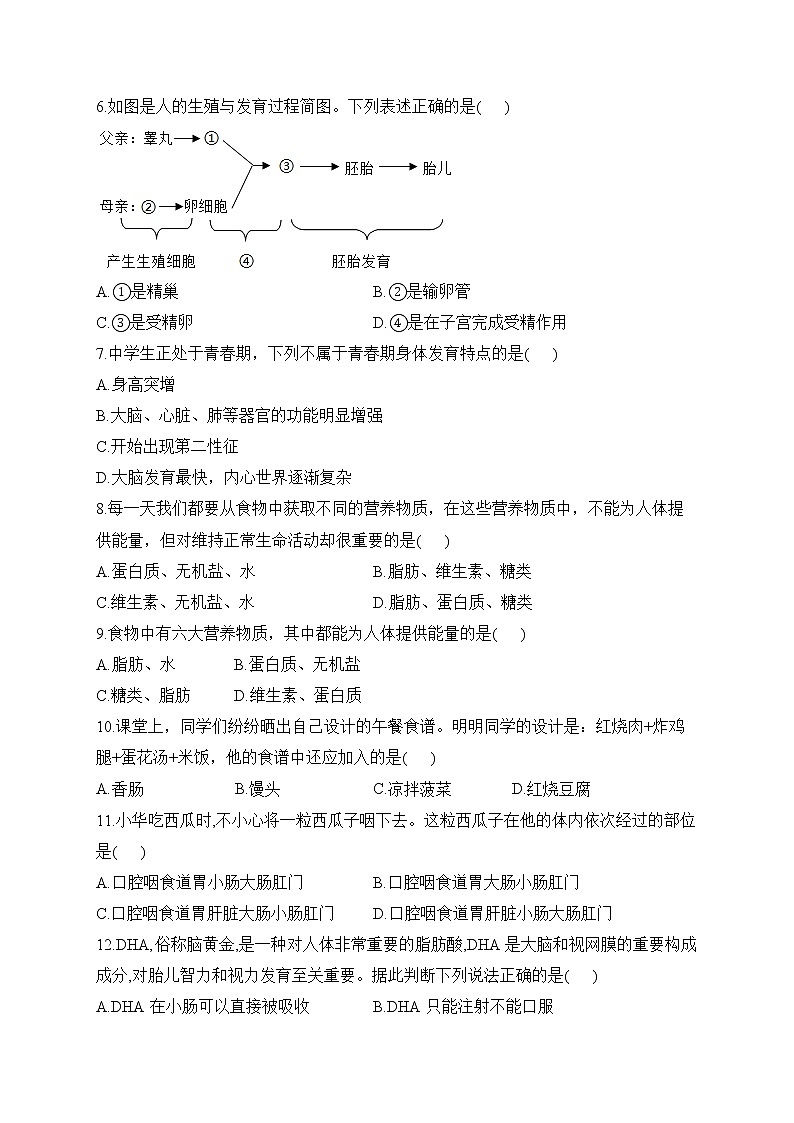 人教版七年级生物下学期期中达标测试卷（A卷）02