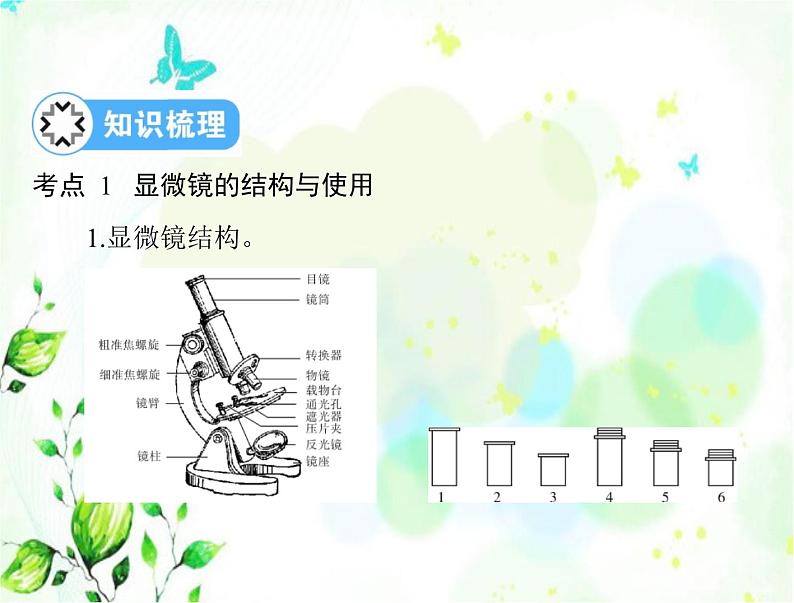 2023年初中生物学业考试指导第二单元第一章细胞是生命活动的基本单位课件第7页