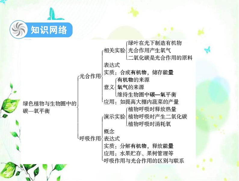 2023年初中生物学业考试指导第三单元第五、六章绿色植物与生物圈中的碳—氧平衡爱护植被，绿化祖国课件04