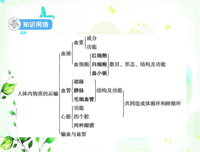 2023年初中生物学业考试指导第四单元第四章人体内物质的运输课件第3页