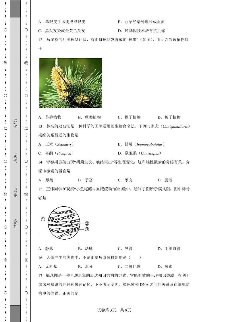 2022年江苏省泰州市中考生物真题附答案解析（高清版）03