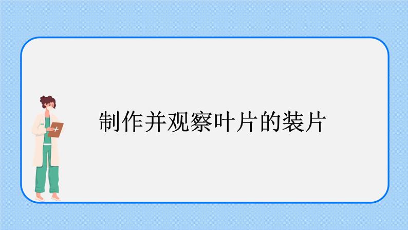 4.1《植物——制作并观察叶片的装片》（实验） 课件01