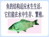 初中生物沪教版八年级下册 生命科学第二节 动物一等奖ppt课件