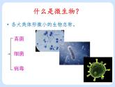 4.3《 微生物——真菌》课件