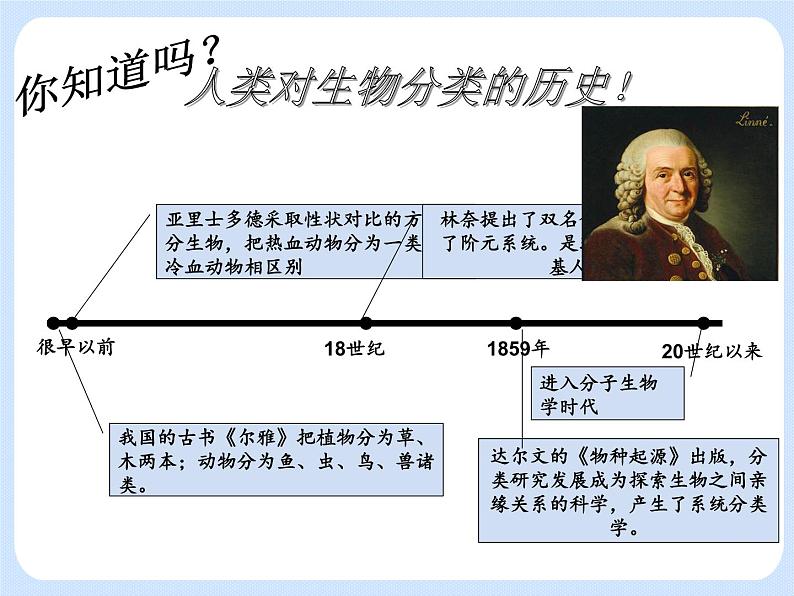 4.4 《生物的分类——分类的阶元 》课件03