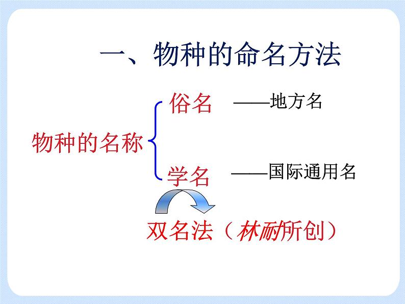 4.4《 生物的分类——物种的命名》 课件第3页