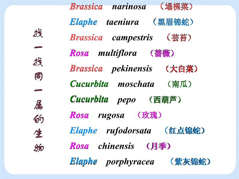 4.4《 生物的分类——物种的命名》 课件第6页