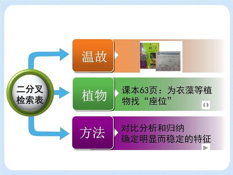 4.4《生物的分类——使用检索表识别常见生物物种》课件02