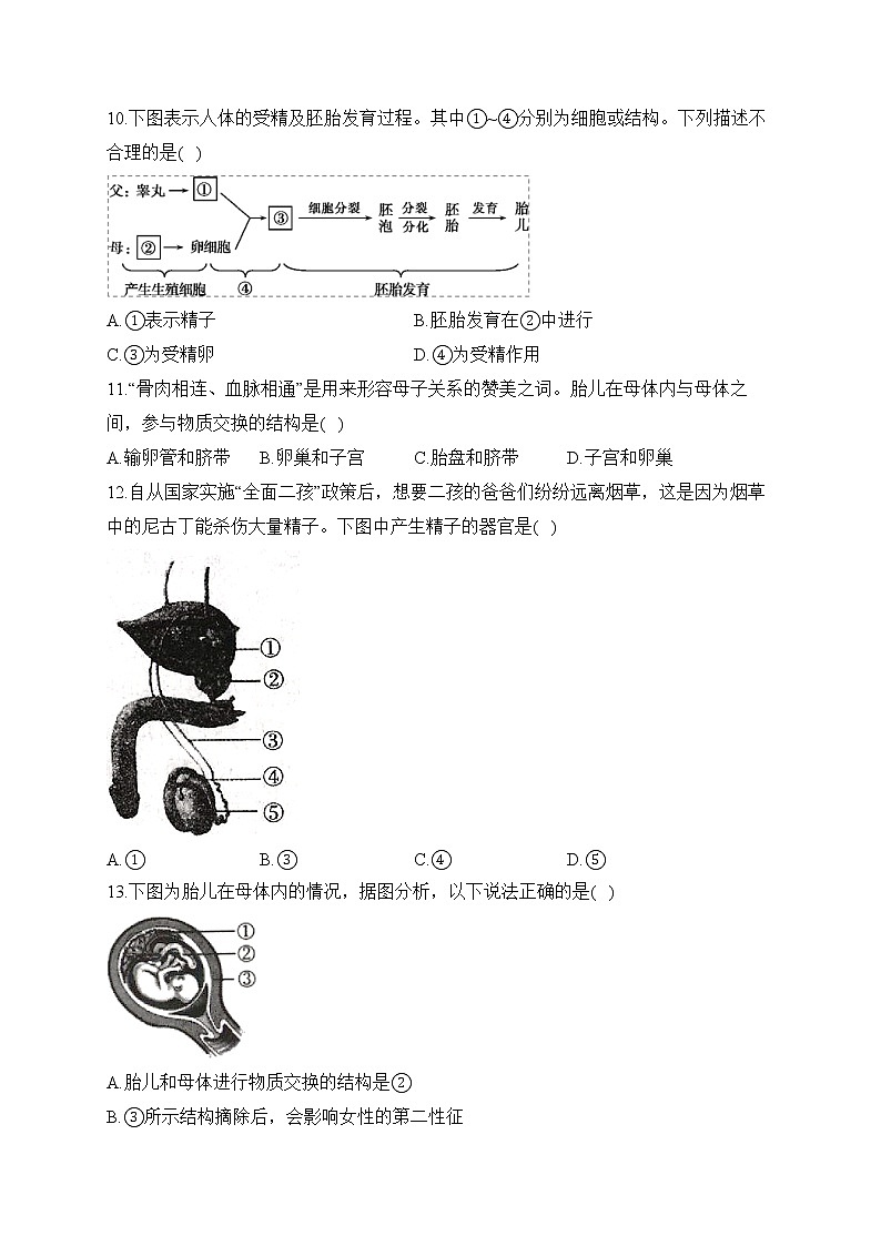 人教版生物七年级下册单元检测卷 第四单元第一章 人的由来（测基础）03