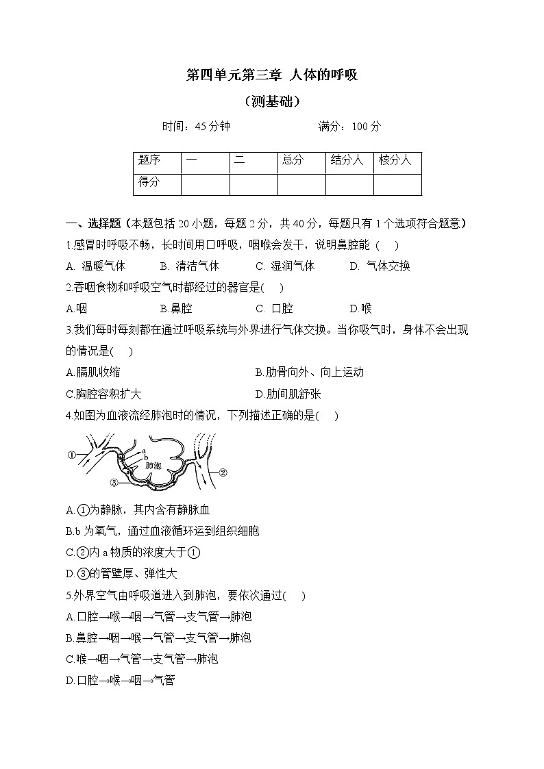 人教版生物七年级下册单元检测卷 第四单元第三章 人体的呼吸（测基础）01