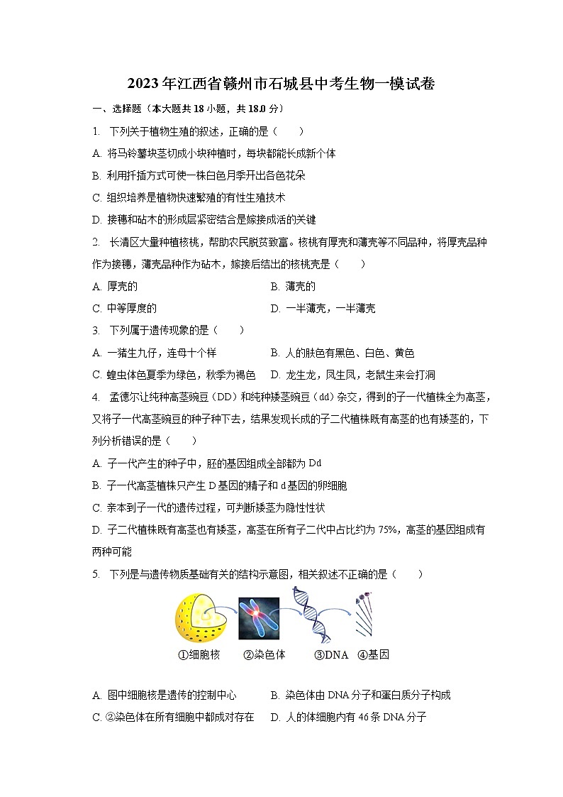 2023年江西省赣州市石城县中考生物一模试卷（含解析）01