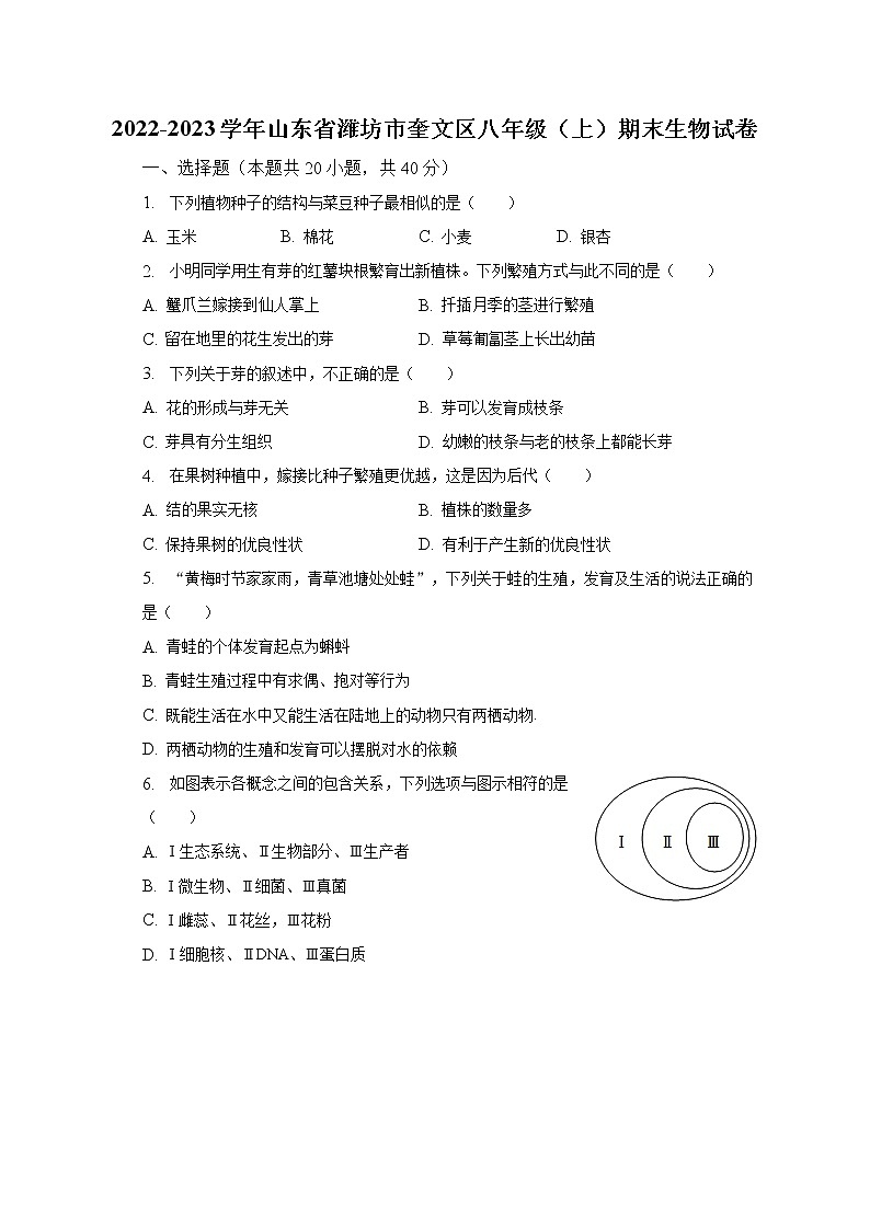 2022-2023学年山东省潍坊市奎文区八年级（上）期末生物试卷（含解析）01