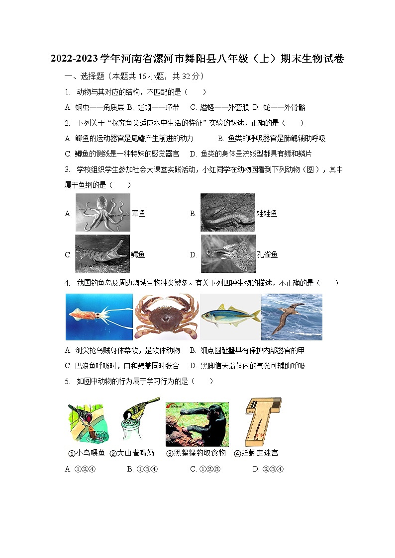 2022-2023学年河南省漯河市舞阳县八年级（上）期末生物试卷（含解析）01