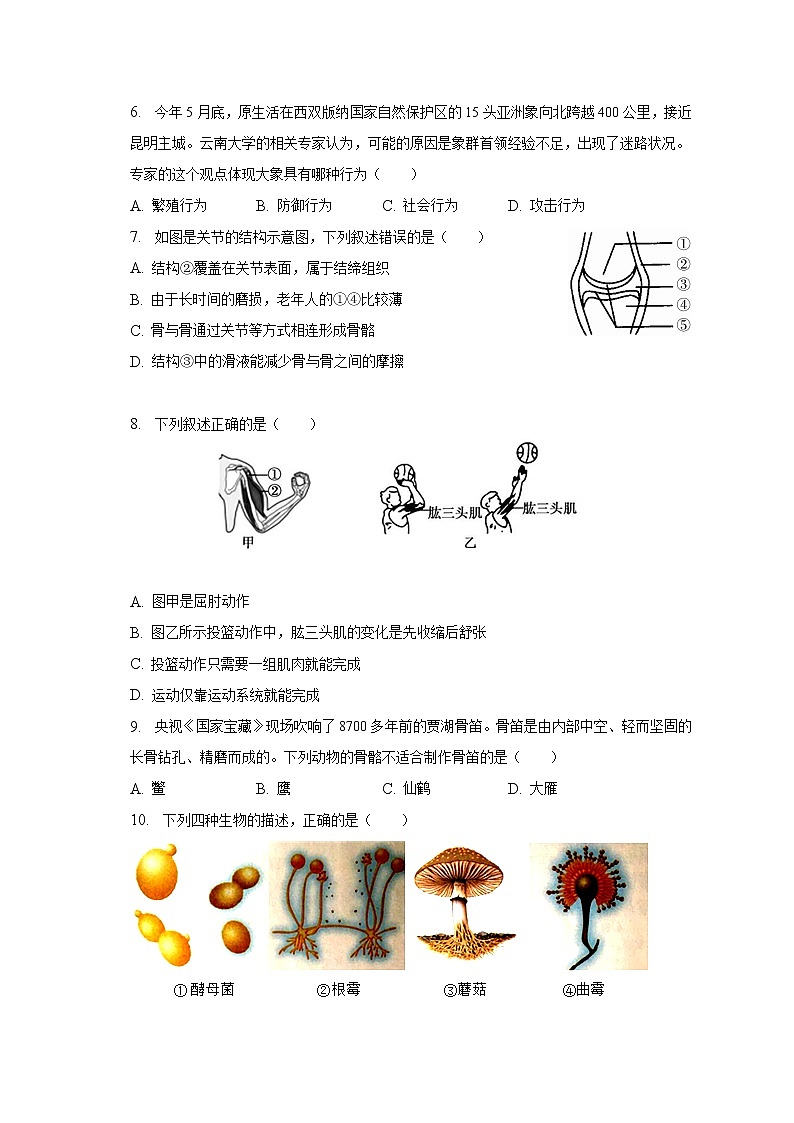 2022-2023学年河南省漯河市舞阳县八年级（上）期末生物试卷（含解析）02