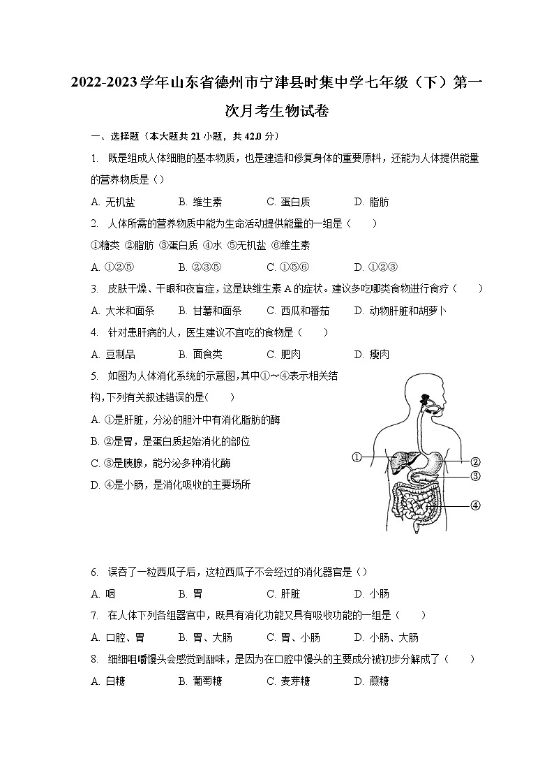 2022-2023学年山东省德州市宁津县时集中学七年级（下）第一次月考生物试卷（含解析）第1页