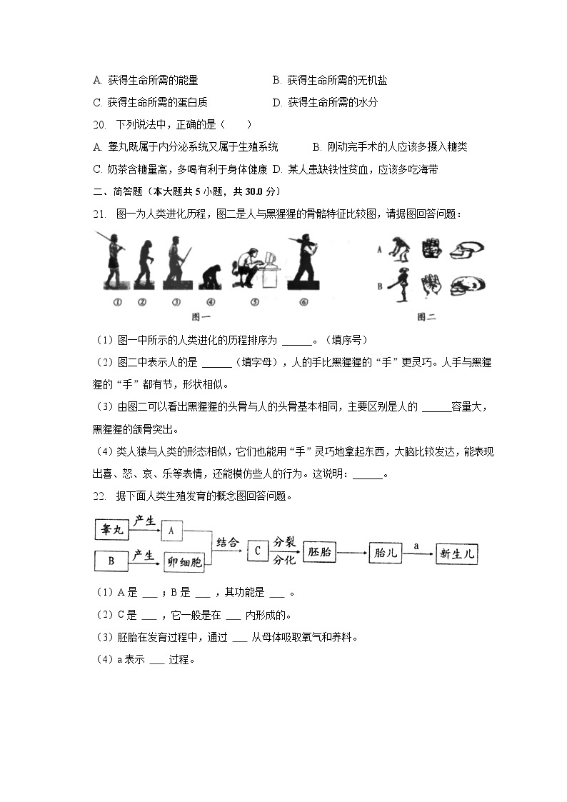 2022-2023学年河南省周口市太康县七年级（下）月考生物试卷（3月份）（含解析）03