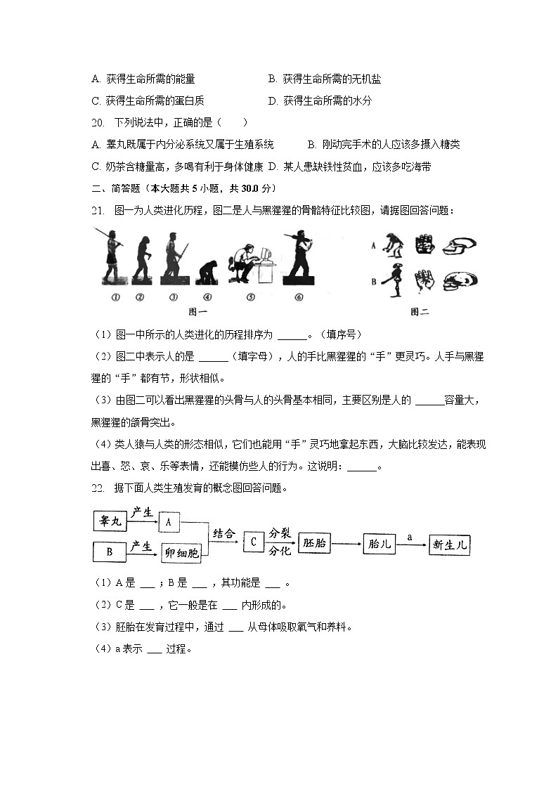 2022-2023学年河南省周口市太康县七年级（下）月考生物试卷（3月份）（含解析）03