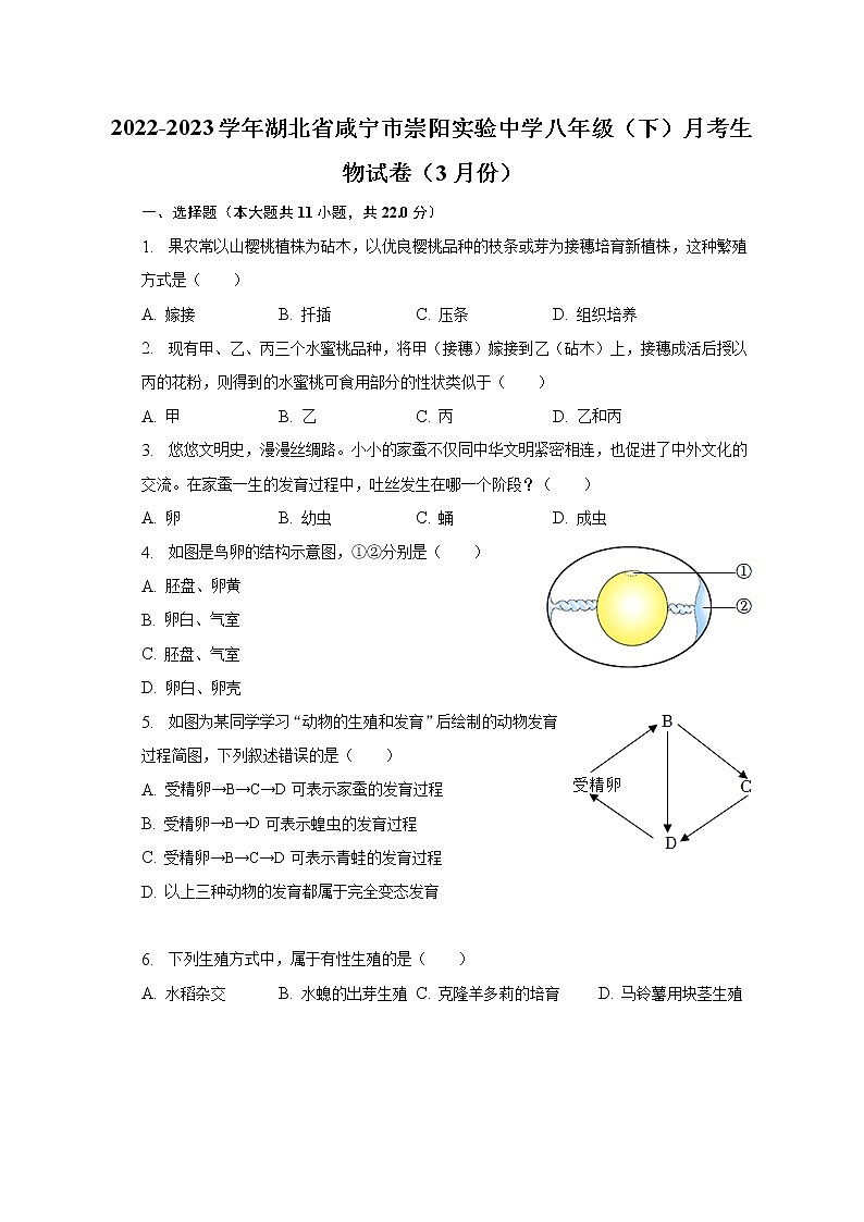 2022-2023学年湖北省咸宁市崇阳实验中学八年级（下）月考生物试卷（3月份）（含解析）第1页