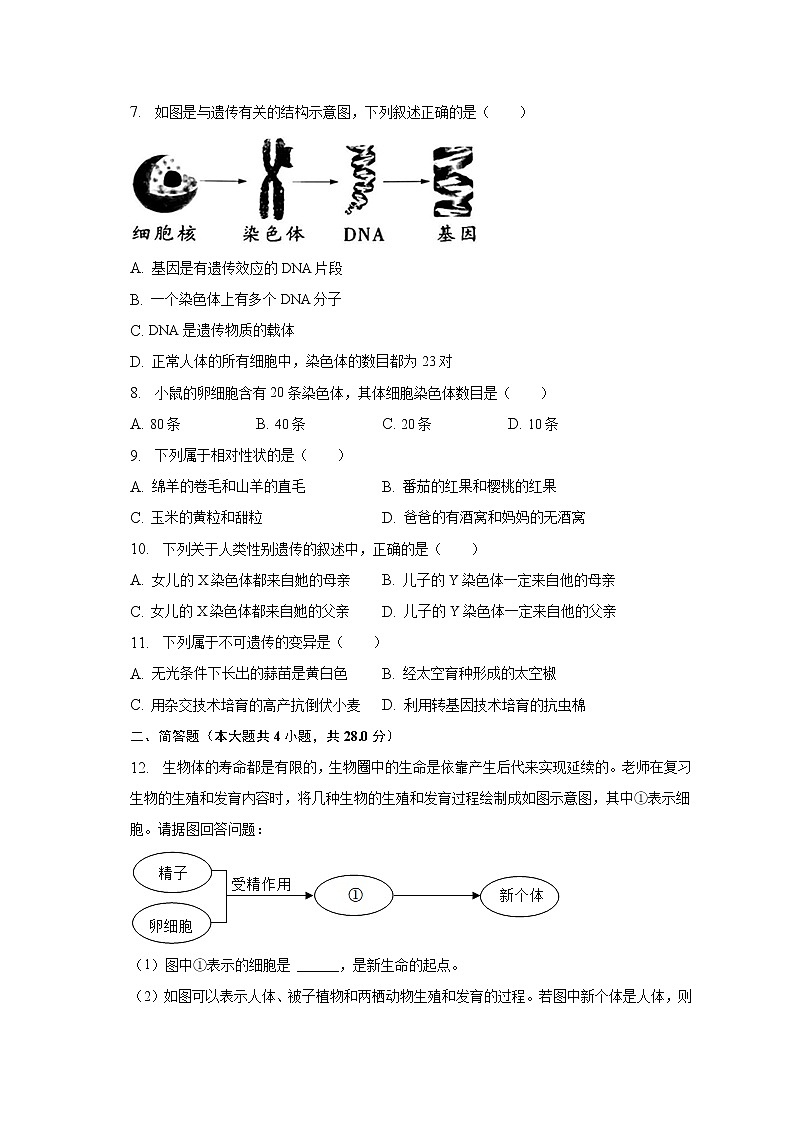 2022-2023学年湖北省咸宁市崇阳实验中学八年级（下）月考生物试卷（3月份）（含解析）第2页