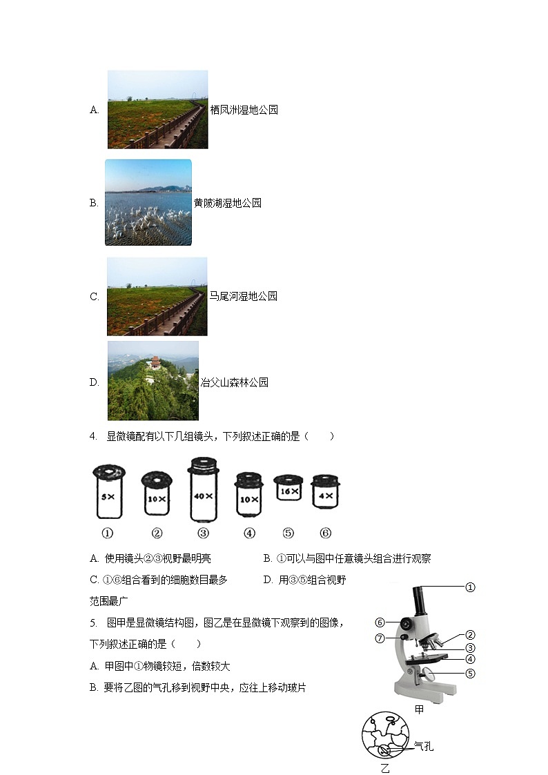 2022-2023学年湖南省益阳市安化县小淹镇三校联考七年级（上）期末生物试卷（含解析）02