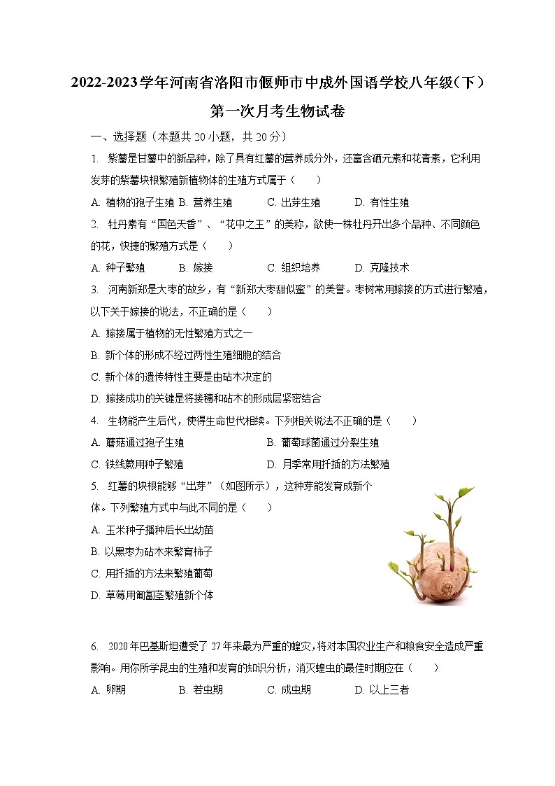 2022-2023学年河南省洛阳市偃师市中成外国语学校八年级（下）第一次月考生物试卷（含解析）01