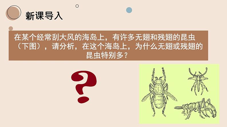 7.3.3 生物进化的原因课件PPT02