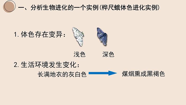 7.3.3 生物进化的原因课件PPT04