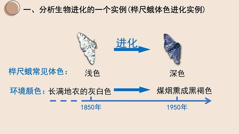 7.3.3 生物进化的原因课件PPT05