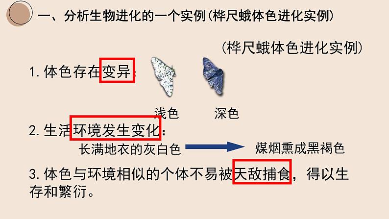 7.3.3 生物进化的原因课件PPT08