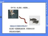 济南版生物七上 1.1《生物的基本特征》   课件+教案+练习