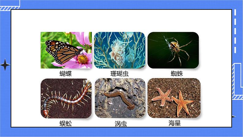 济南版生物七上 1.1《生物的基本特征》   课件+教案+练习06