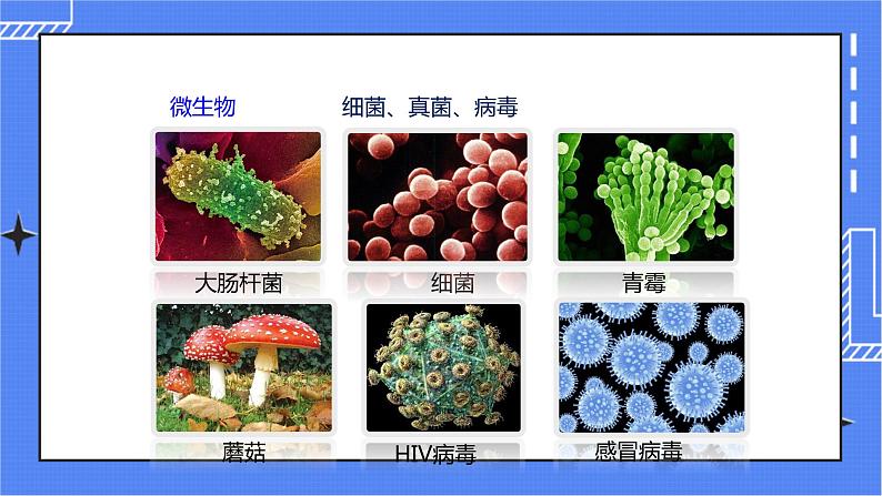 济南版生物七上 1.1《生物的基本特征》   课件+教案+练习07