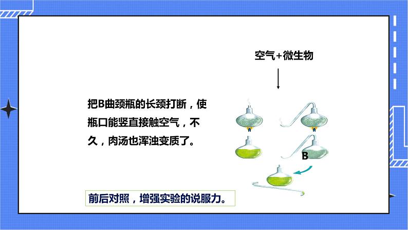 济南版生物七上 1.3《生物学的探究方法》  课件+教案+设计08