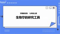 济南版七年级上册第四节 生物学的研究工具精品课件ppt